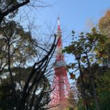 増上寺川から見た東京タワー
