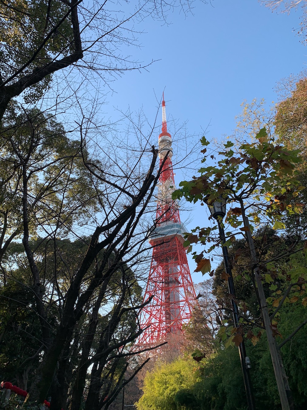 増上寺川から見た東京タワー