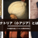 アナトリア（小アジア）とは？その歴史を通じてトルコの原点を知る！